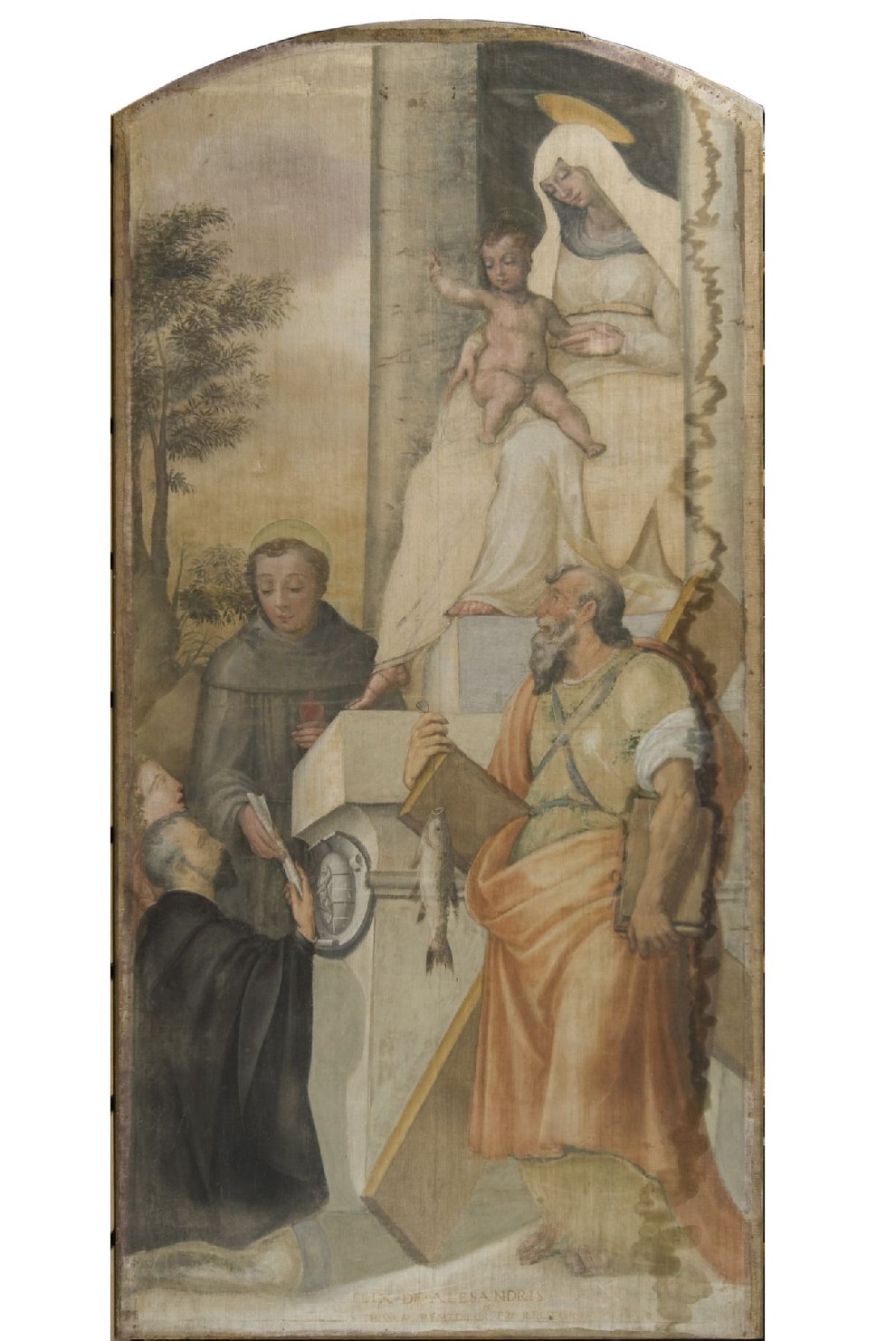 Madonna degli Alessandri, Madonna in trono con Bambino e santi (dipinto, elemento d'insieme) di Alfani, Orazio di Domenico (attribuito) (metà sec. XVI)