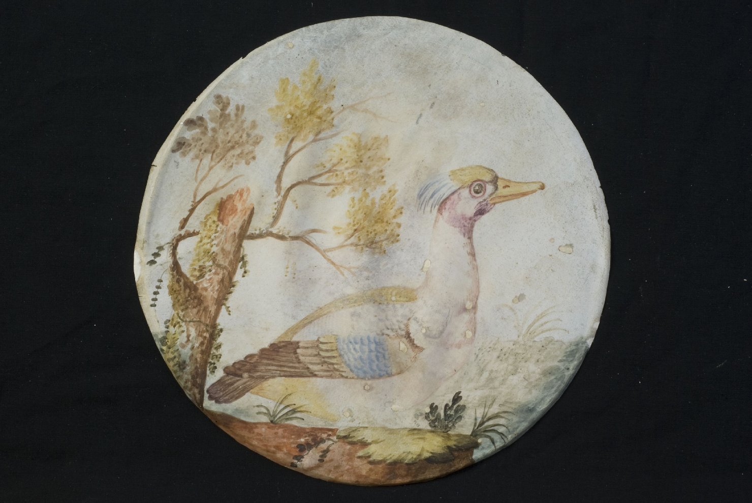 uccello (dipinto, opera isolata) - ambito italiano (sec. XIX)