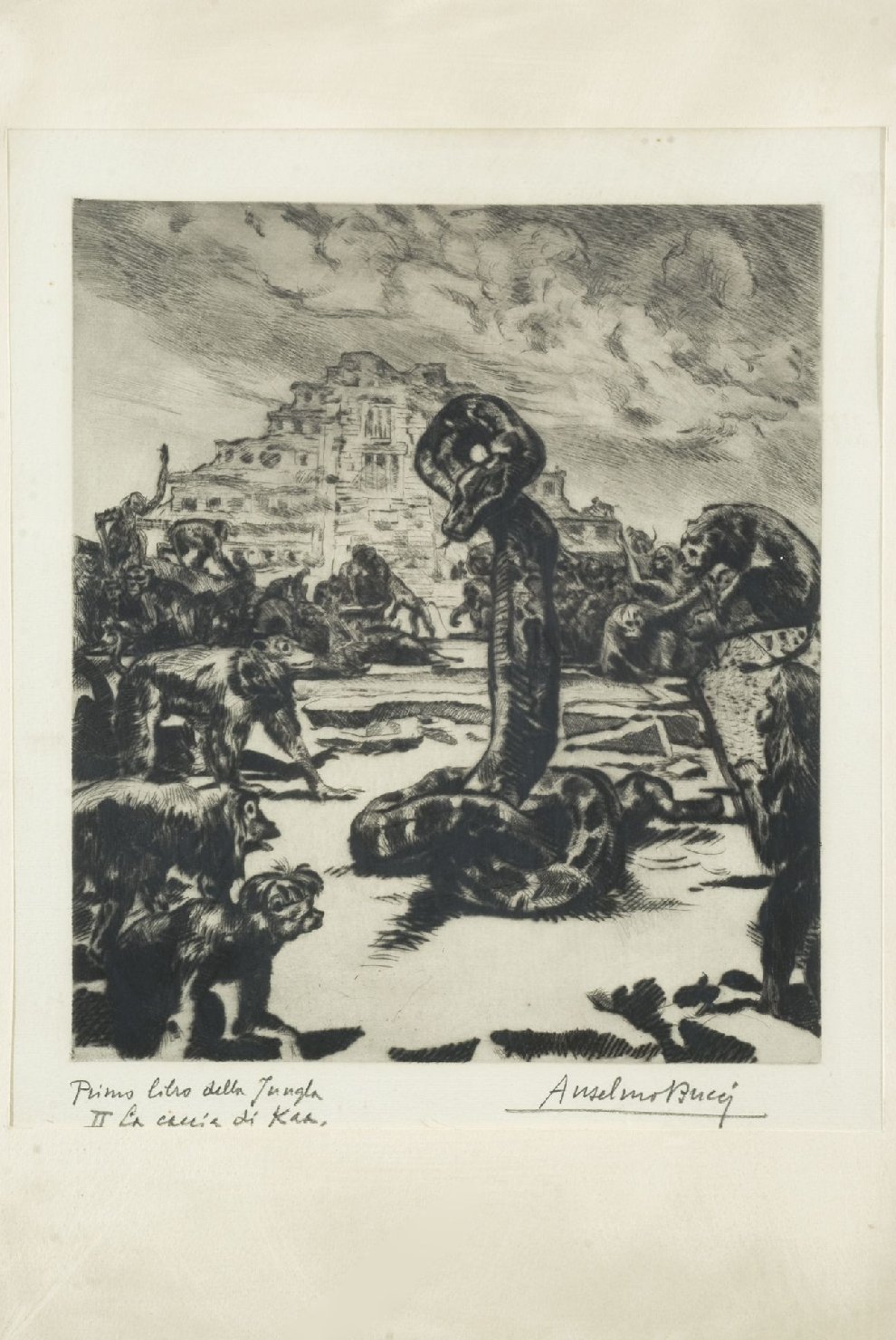 Libro della jungla (stampa, serie) di Bucci Anselmo (secondo quarto sec. XX)