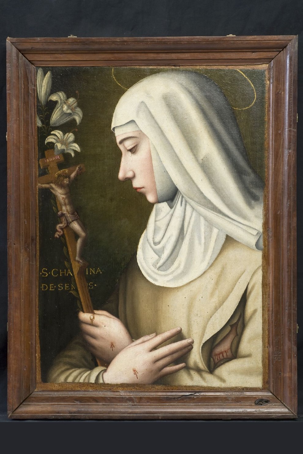 Santa Caterina da Siena (dipinto, opera isolata) di Nelli Margherita Pulissena detta Suor Plautilla (seconda metà sec. XVI)