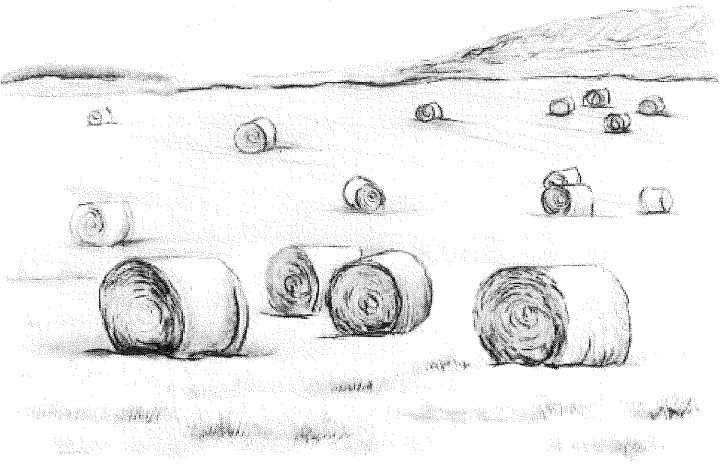 Campo mietuto con fasci di paglia, Raccolta di paglia (dipinto) di Luigi Guerricchio - ambito lucano (XX)