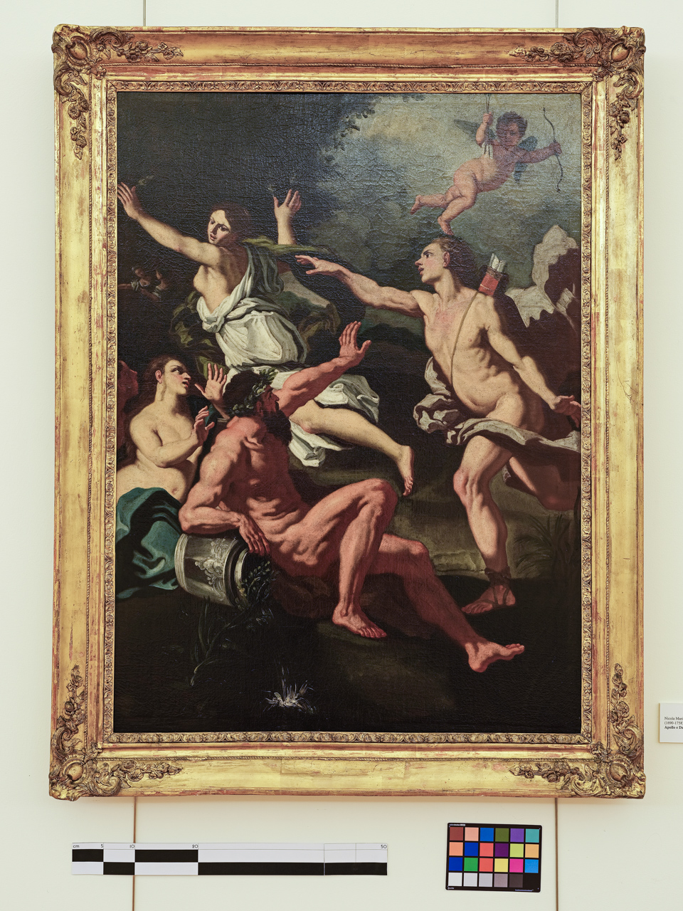 Apollo e Dafne, Apollo e Dafne (dipinto) di Rossi Nicola Maria (attribuito) - ambito napoletano (anni trenta XVIII)