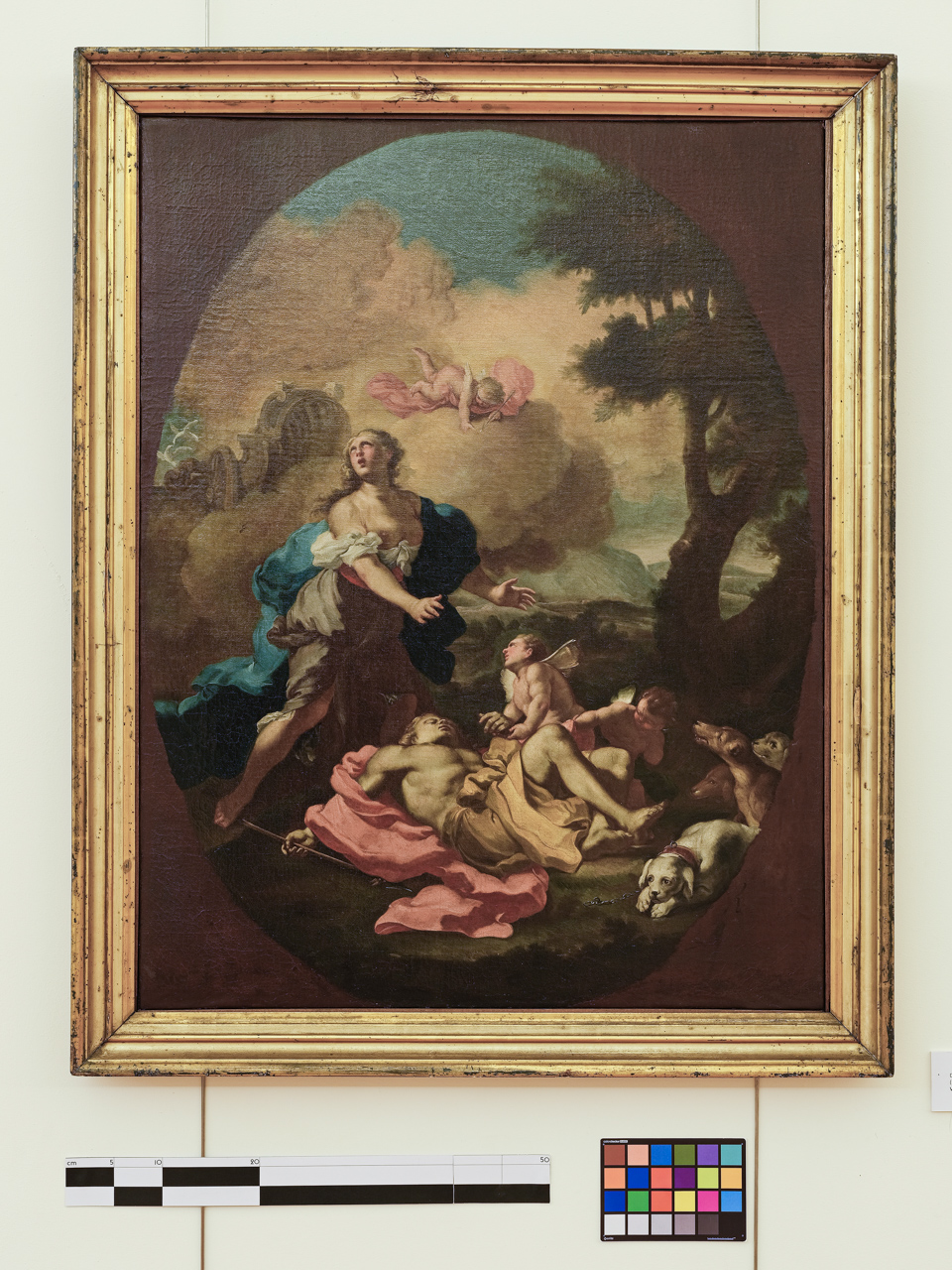Venere e Adone, Venere piange la morte di Adone (dipinto) di Vaccaro Domenico Antonio (attribuito) (anni trenta XVIII)