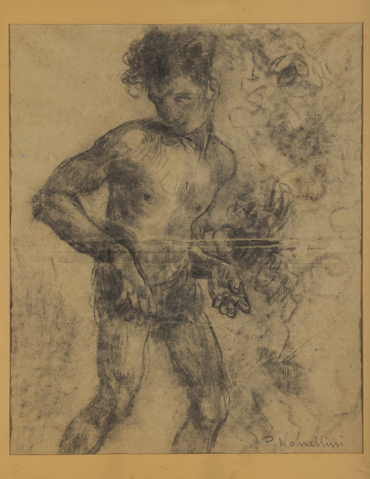 Studio di giovane nudo, Figura di giovane nudo (disegno) di Nomellini Plinio (terzo quarto XX)