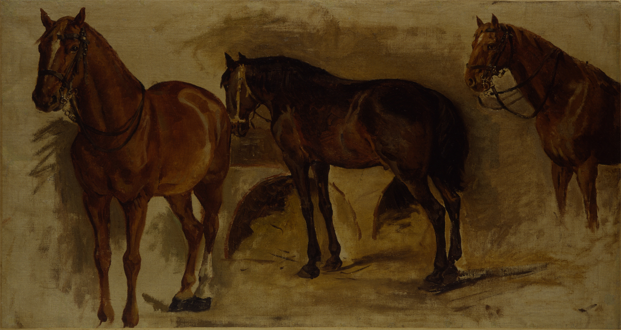 studio di cavalli (dipinto) di Aldi Pietro (XIX)