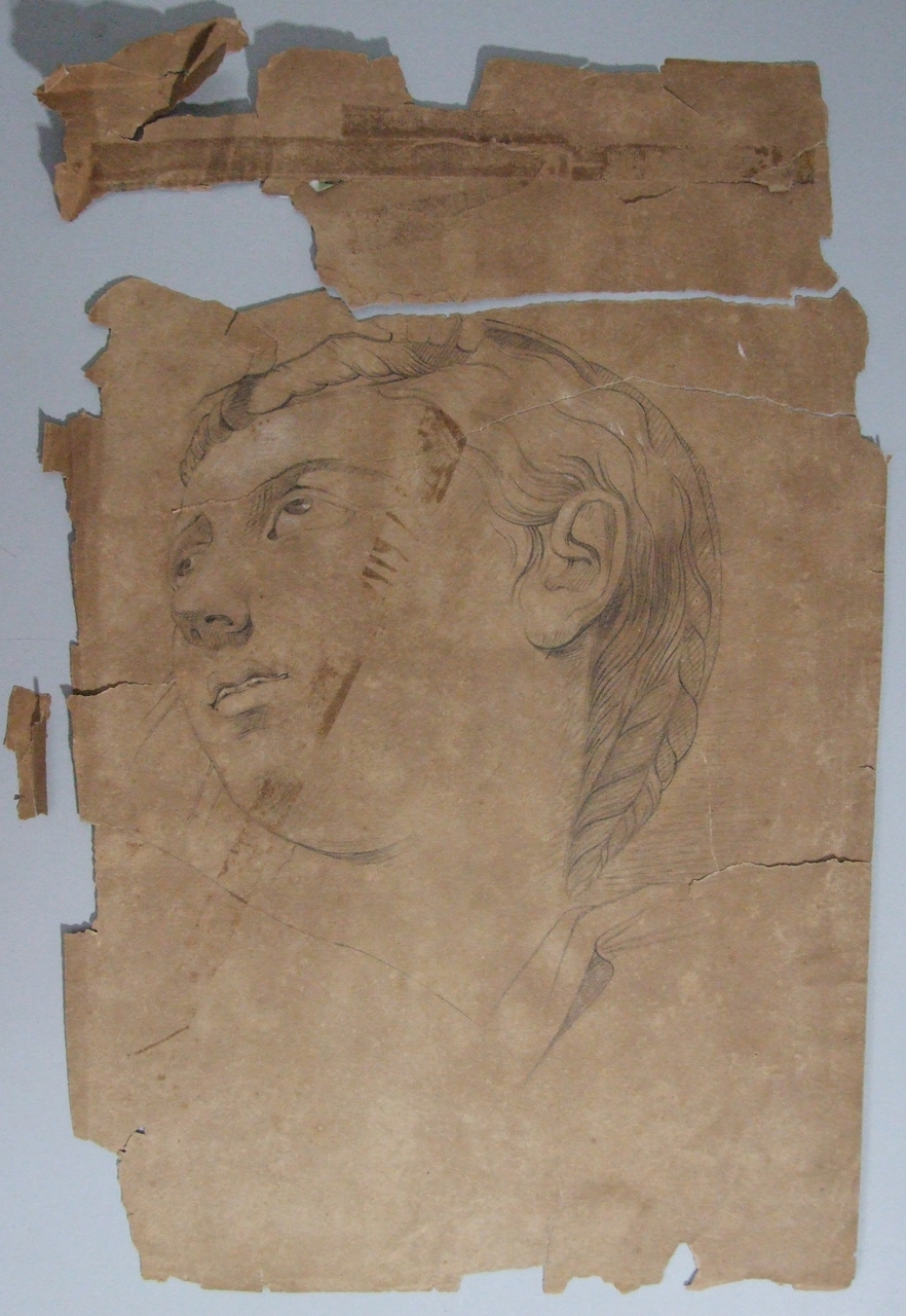 Copia della testa della Madonna del Tondo Doni, testa della Madonna (disegno) di Aldi Pietro (XIX)