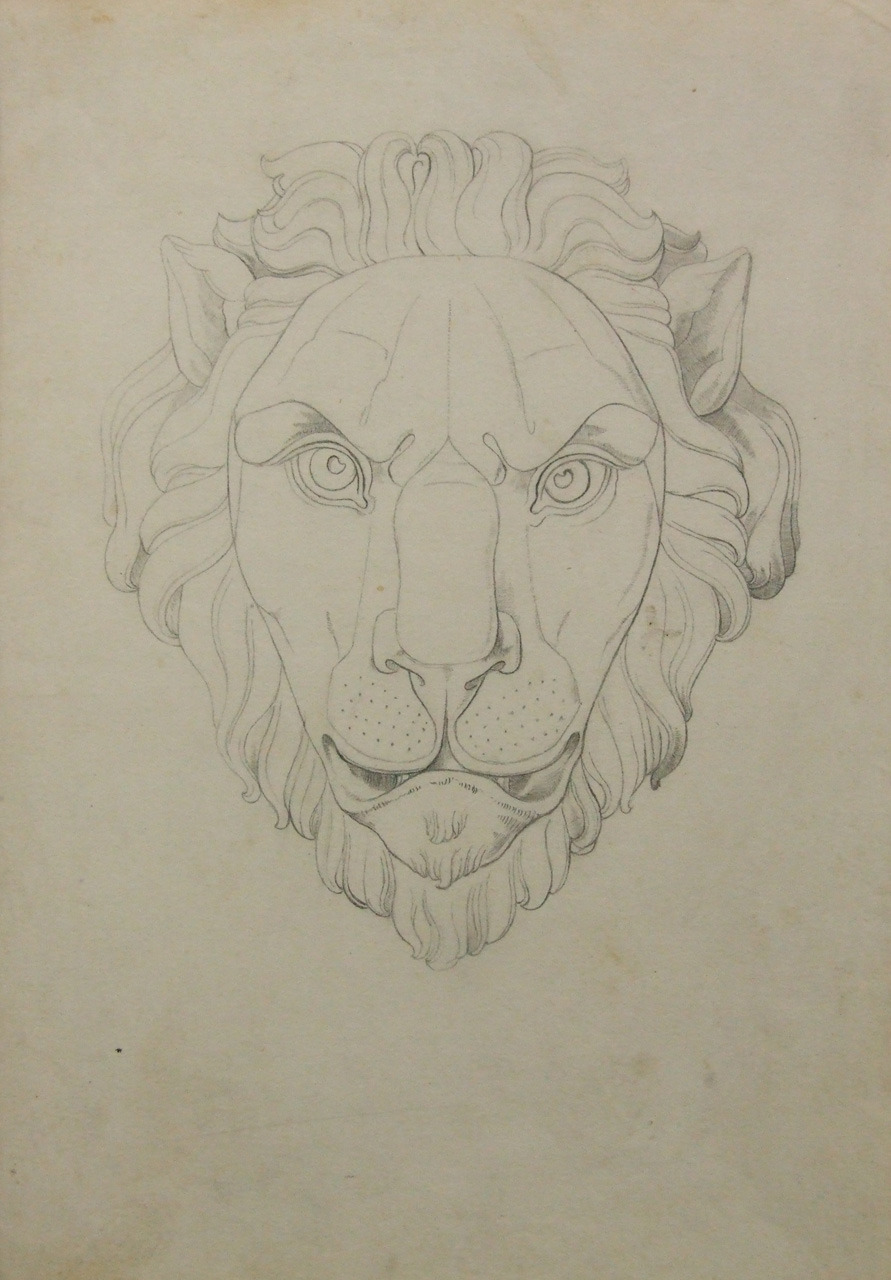 testa di leone (disegno) di Aldi Pietro (XIX)