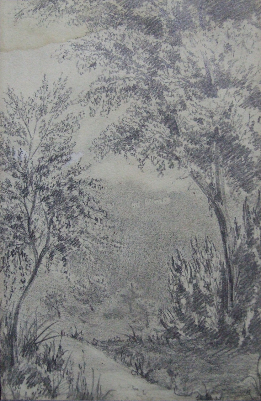 Bosco, sentiero nel bosco (disegno) di Aldi Pietro (XIX)