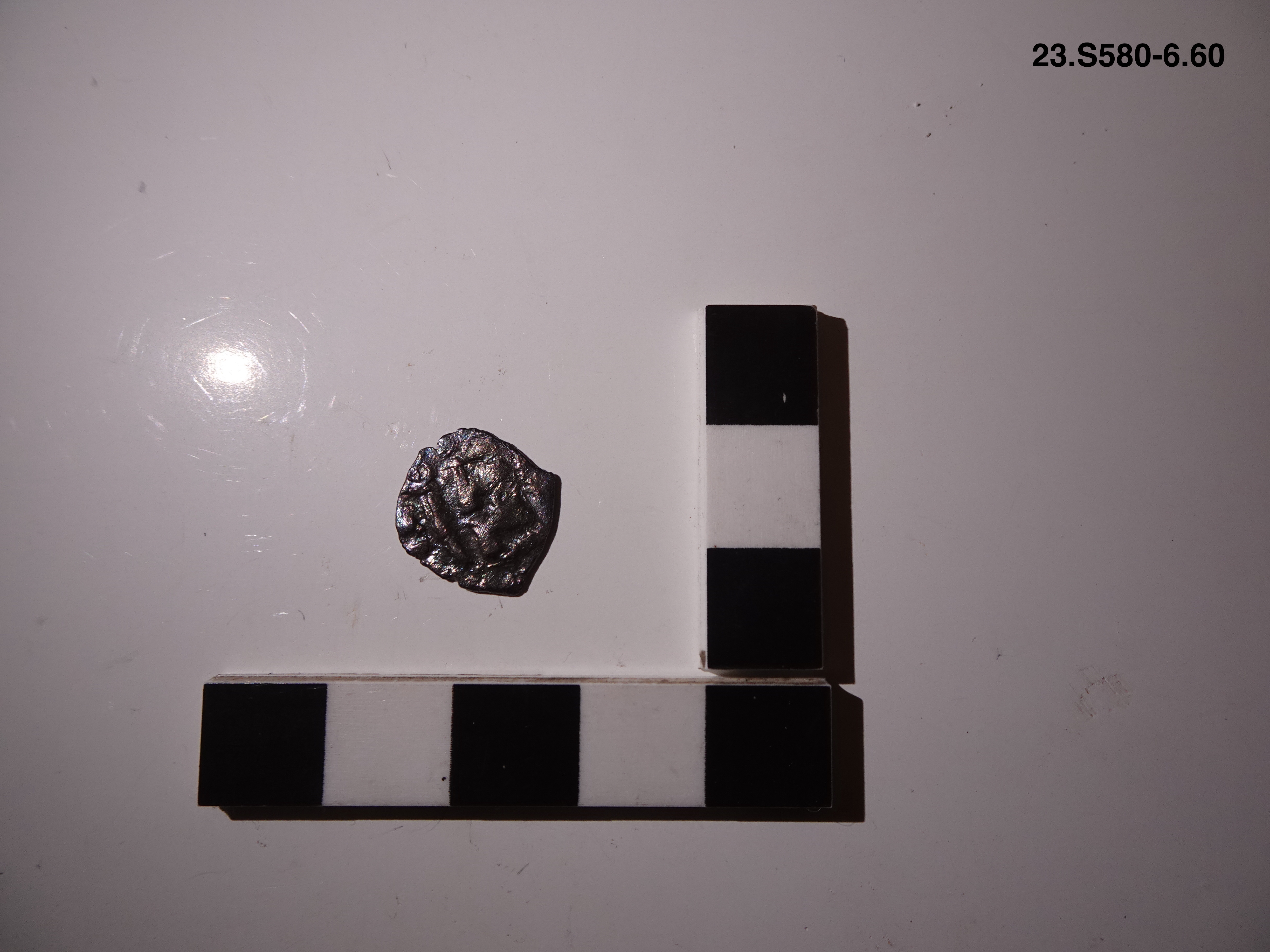 SINGOLO OGGETTO/ moneta, non determinabile