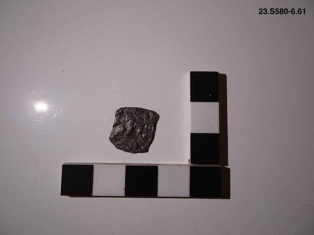 SINGOLO OGGETTO/ moneta, non determinabile