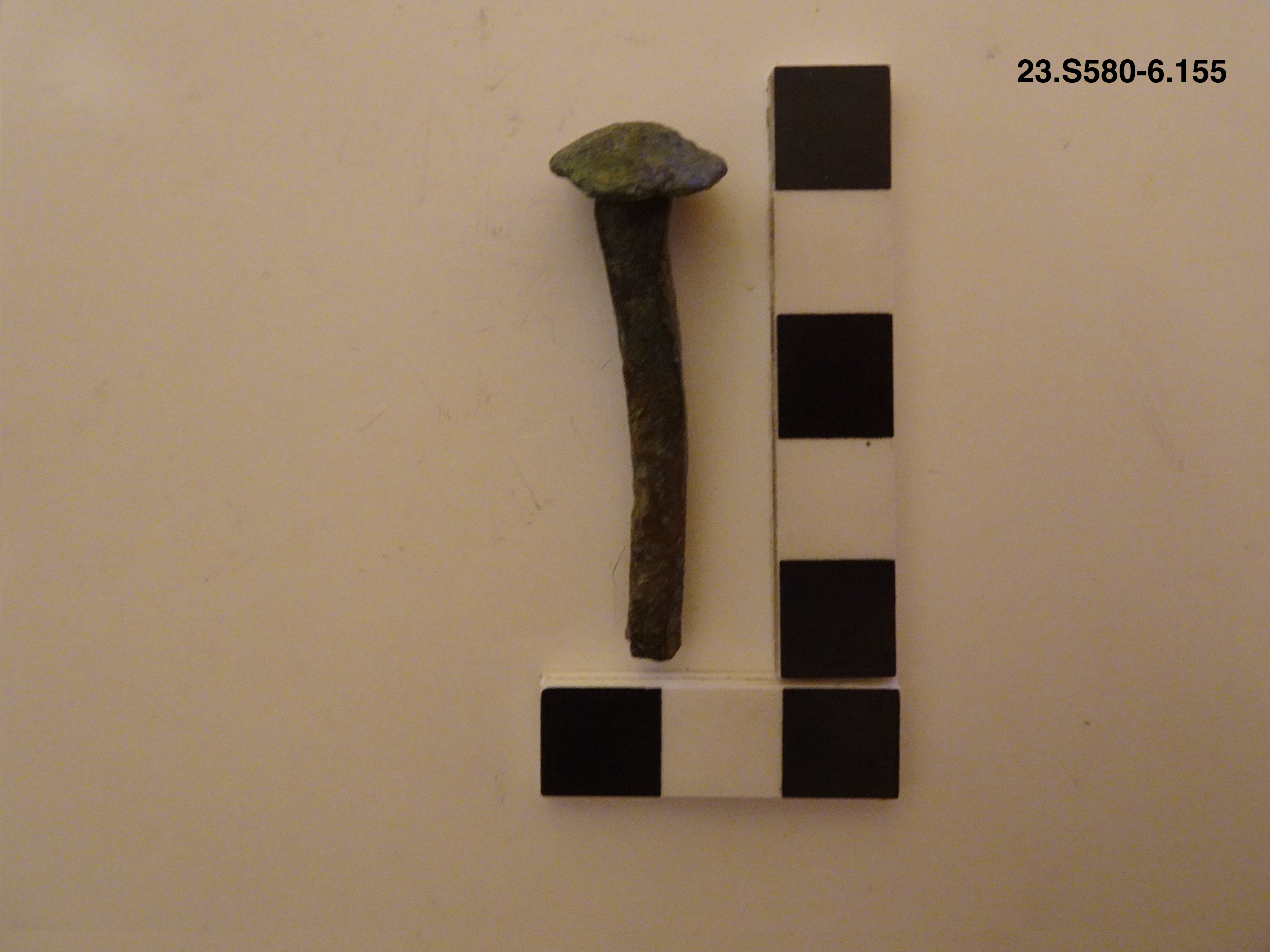 SINGOLO OGGETTO/ chiodo, non determinabile