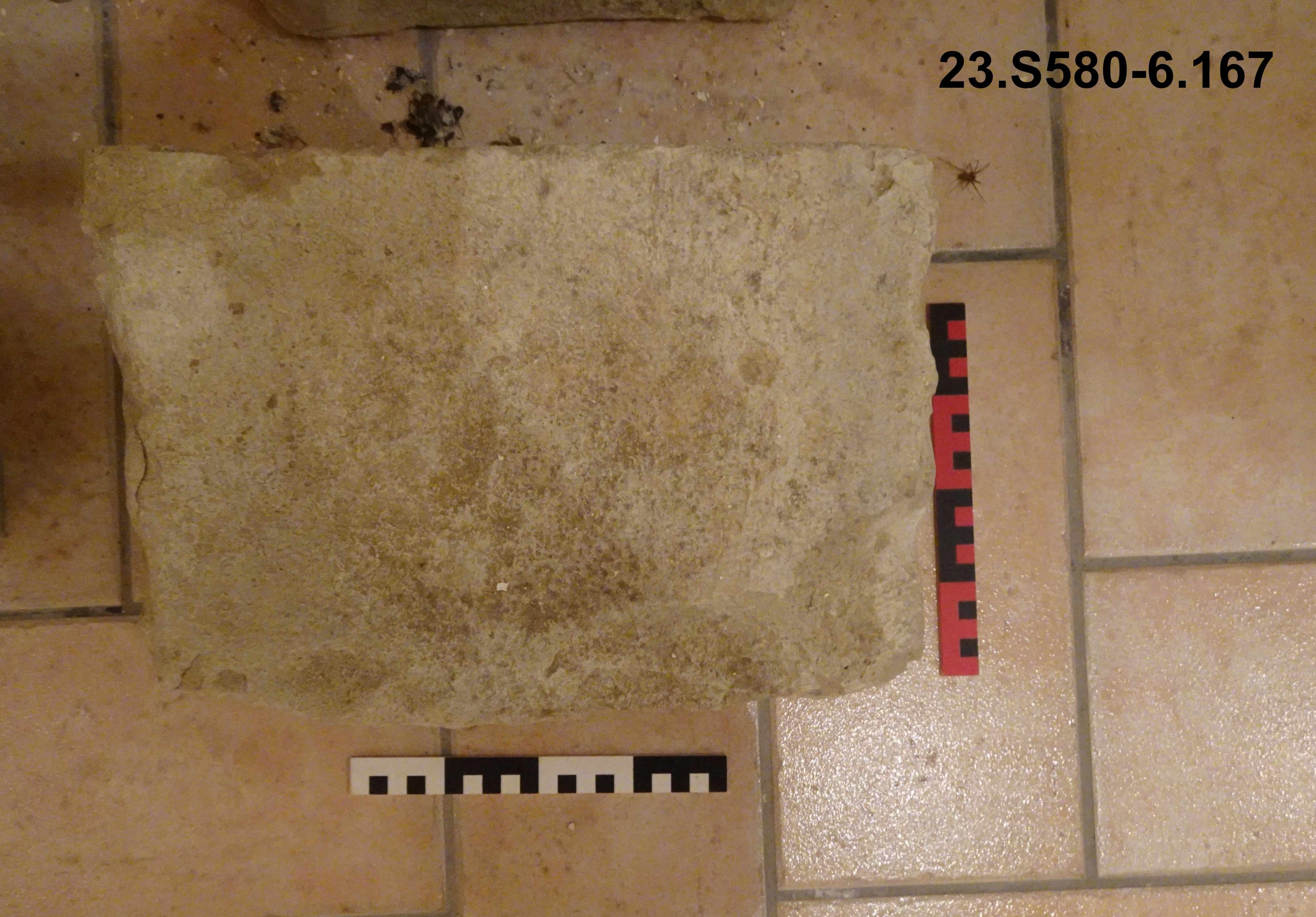 SINGOLO OGGETTO/ colonna, non determinabile