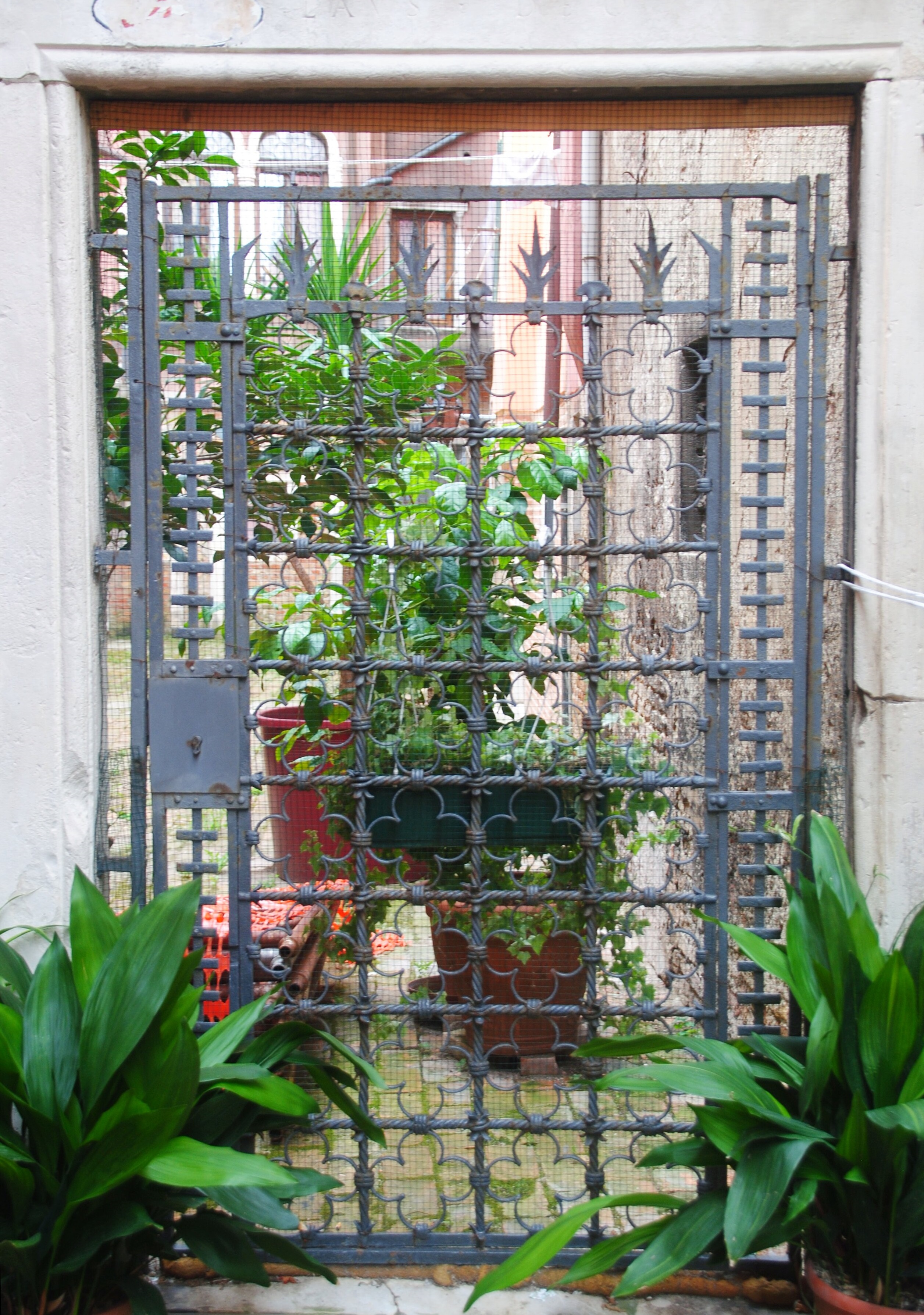 cancello, opera isolata di Bellotto Umberto (attribuito) (20)