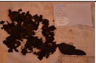 camicia, maschile (prima metà XVI)