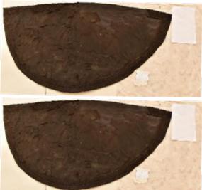 tabarro, maschile (seconda metà XVI sec)