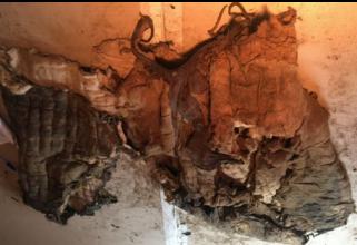 braca, maschile (seconda metà XVI sec)