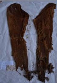 calze, maschile (prima metà XVI)