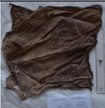 fazzoletto, maschile (prima metà XVI)