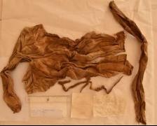 camicia, infantile (prima metà XVI)