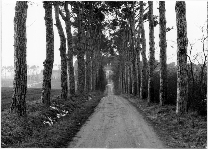 Villa Il Tesoro (villa) - Forlì (FC)  (XIX, fine)