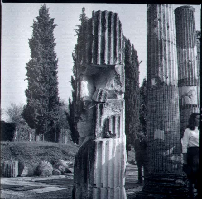 Vedute: Foro Romano, colonne; Aquileia (negativo) di Gabinetto Fot. Soprintendenza ai Monumenti di Venezia (terzo quarto XX)
