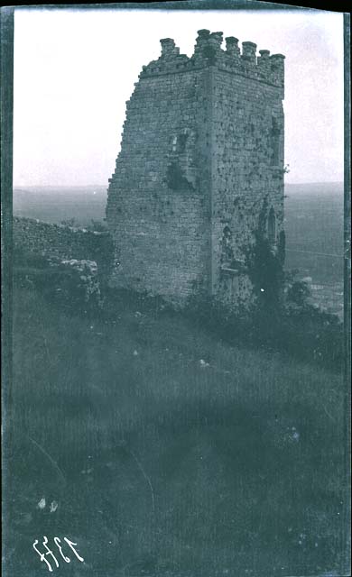 Documentazione storico artistica (negativo) di Ongaro, Massimiliano (inizio XX)