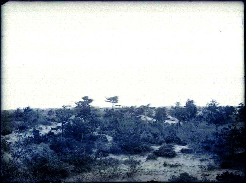 Documentazione beni paesaggistici (negativo) di Caprioli, Giovanni (primo quarto XX)