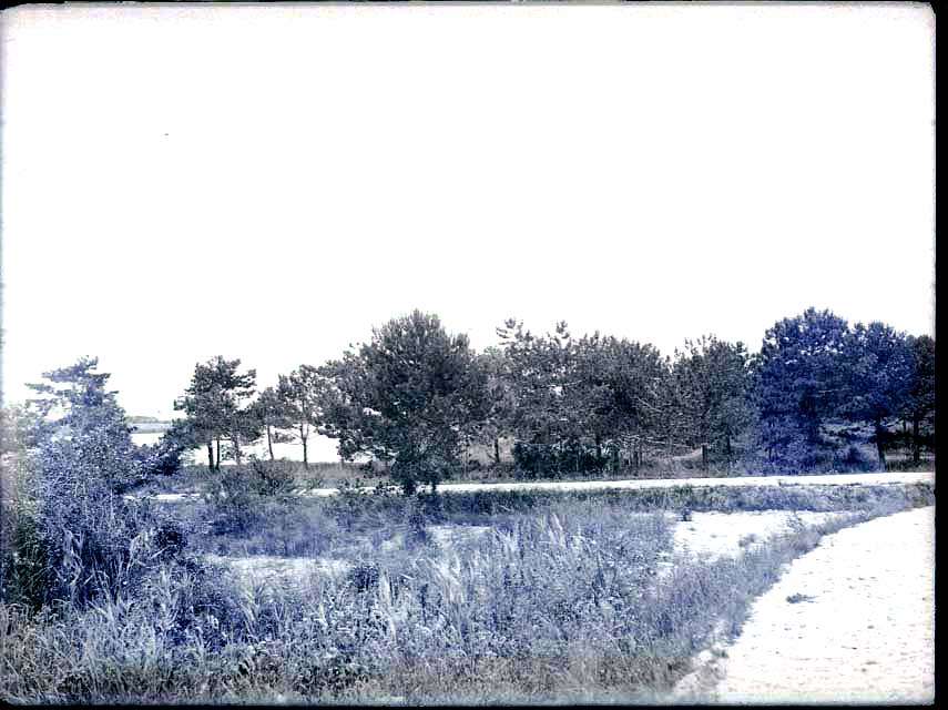 Documentazione beni paesaggistici (negativo) di Caprioli, Giovanni (primo quarto XX)