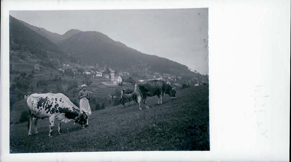 Vedute montane: abitazioni; Ravascletto (negativo) di Gabinetto Fot. Soprintendenza ai Monumenti di Venezia (primo quarto XX)