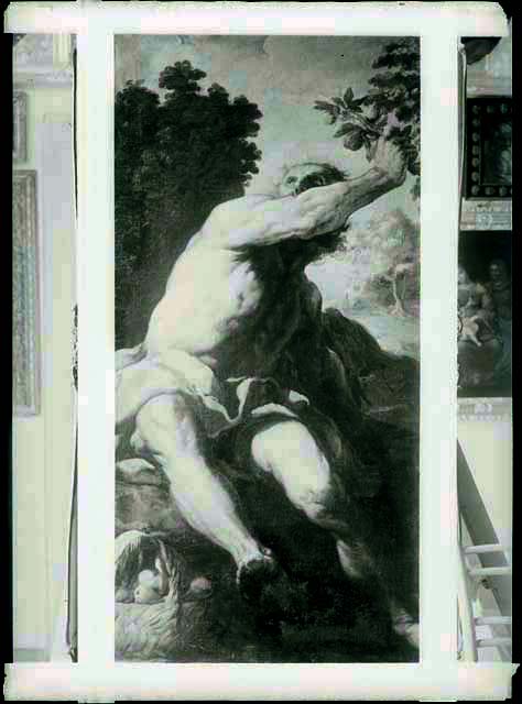 Documentazione storico artistica: sec. XVII, dipinto, Allegoria dell'Autunno; Carneo Antonio (negativo) di Carneo Antonio, Fiorentini, Pietro (prima metà XX)