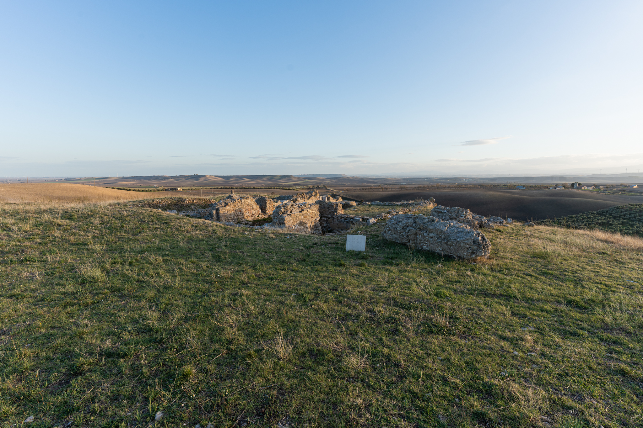 edificio di culto, Cattedrale di Castel Fiorentino (PERIODIZZAZIONI/ STORIA/ Età medievale)