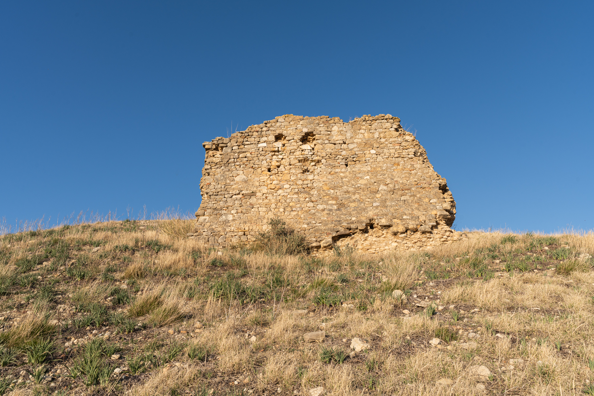 struttura di fortificazione, cinta fortificata, Cinta muraria di Castel Fiorentino (PERIODIZZAZIONI/ STORIA/ Età medievale)