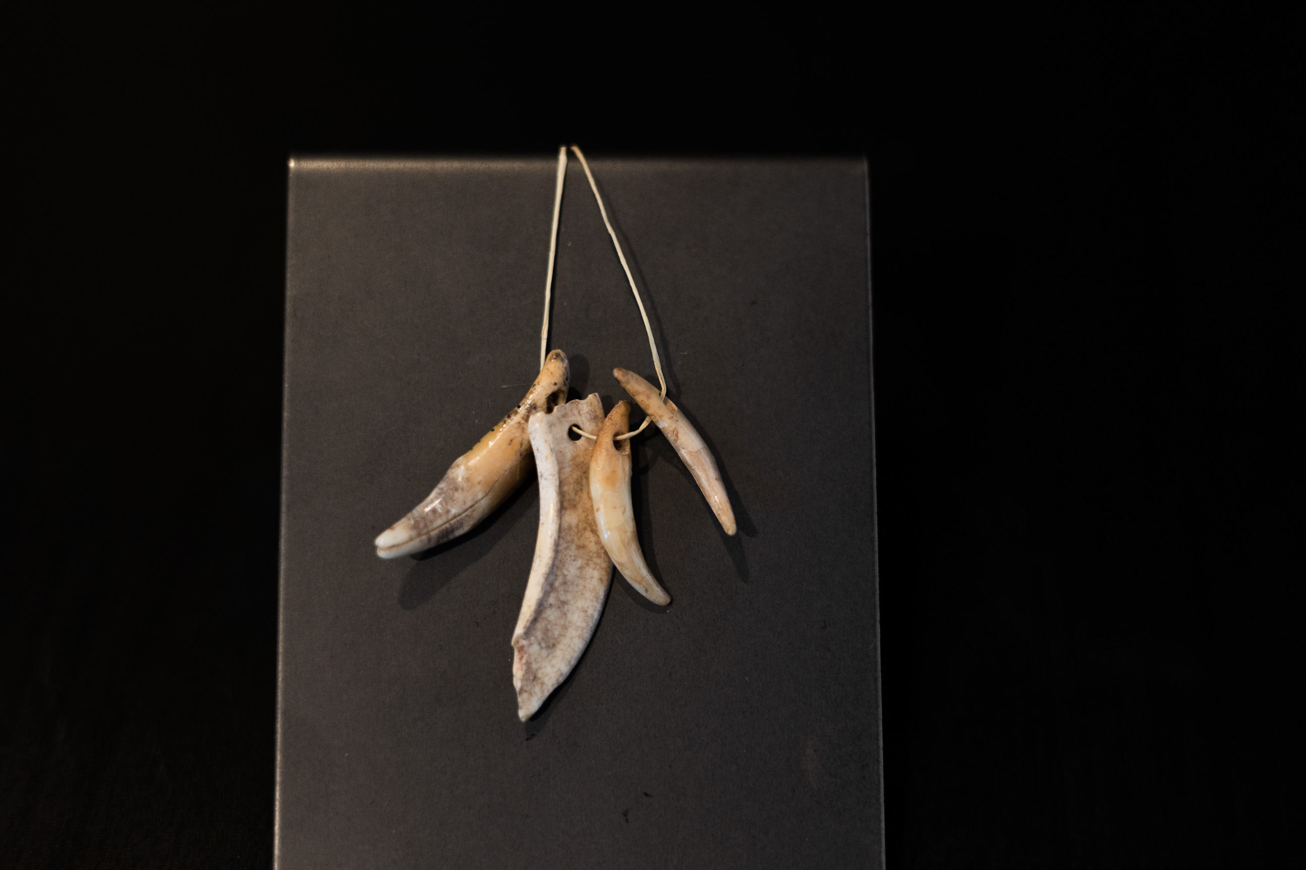 pendaglio, Pendaglio su dente di cinghiale (metà MILLENNI/ V millennio a.C)