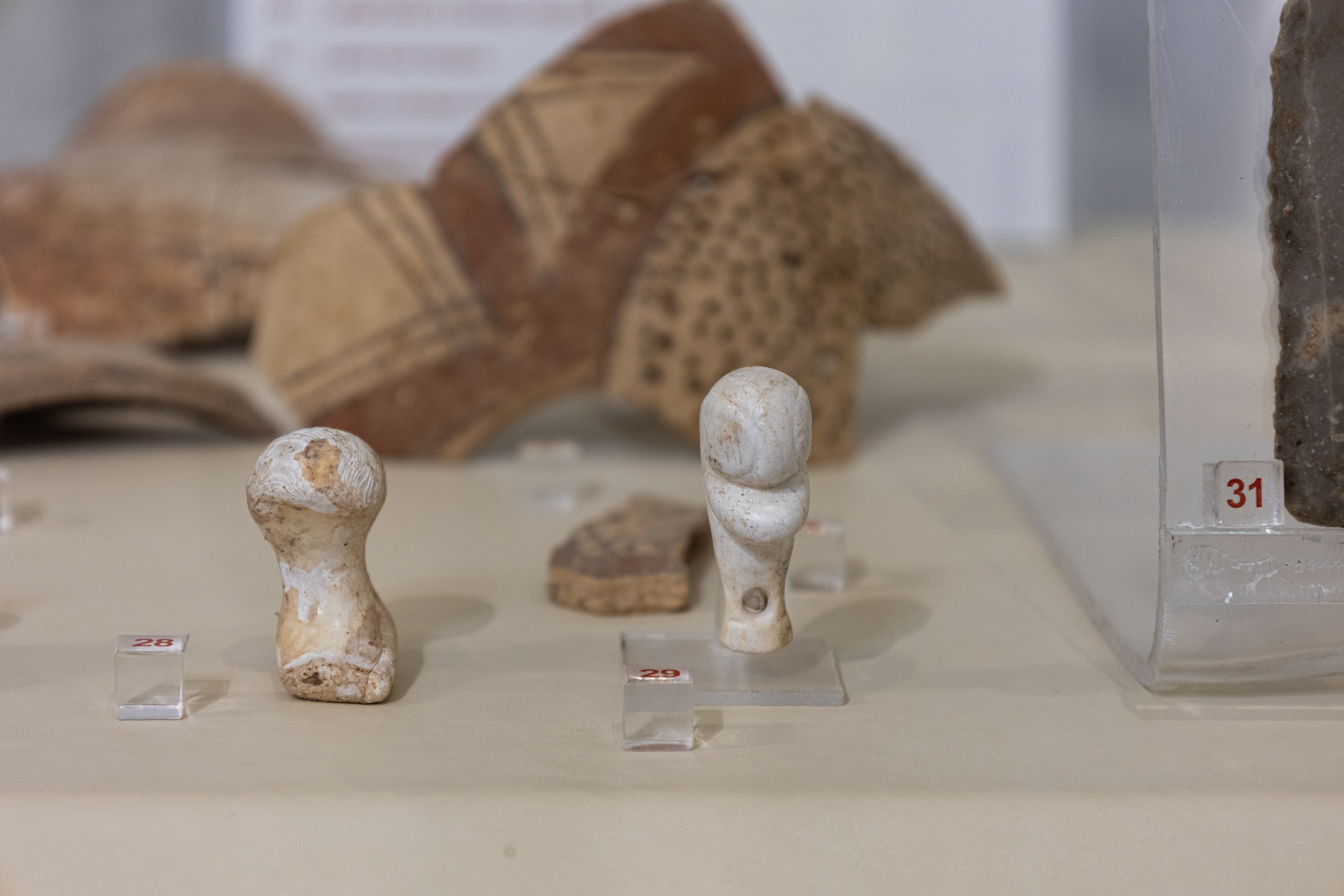 pendente, Pendaglio in osso a testa di papero (fine/ inizio MILLENNI/ ARCHI DI MILLENNI/ VI-V millennio a.C)