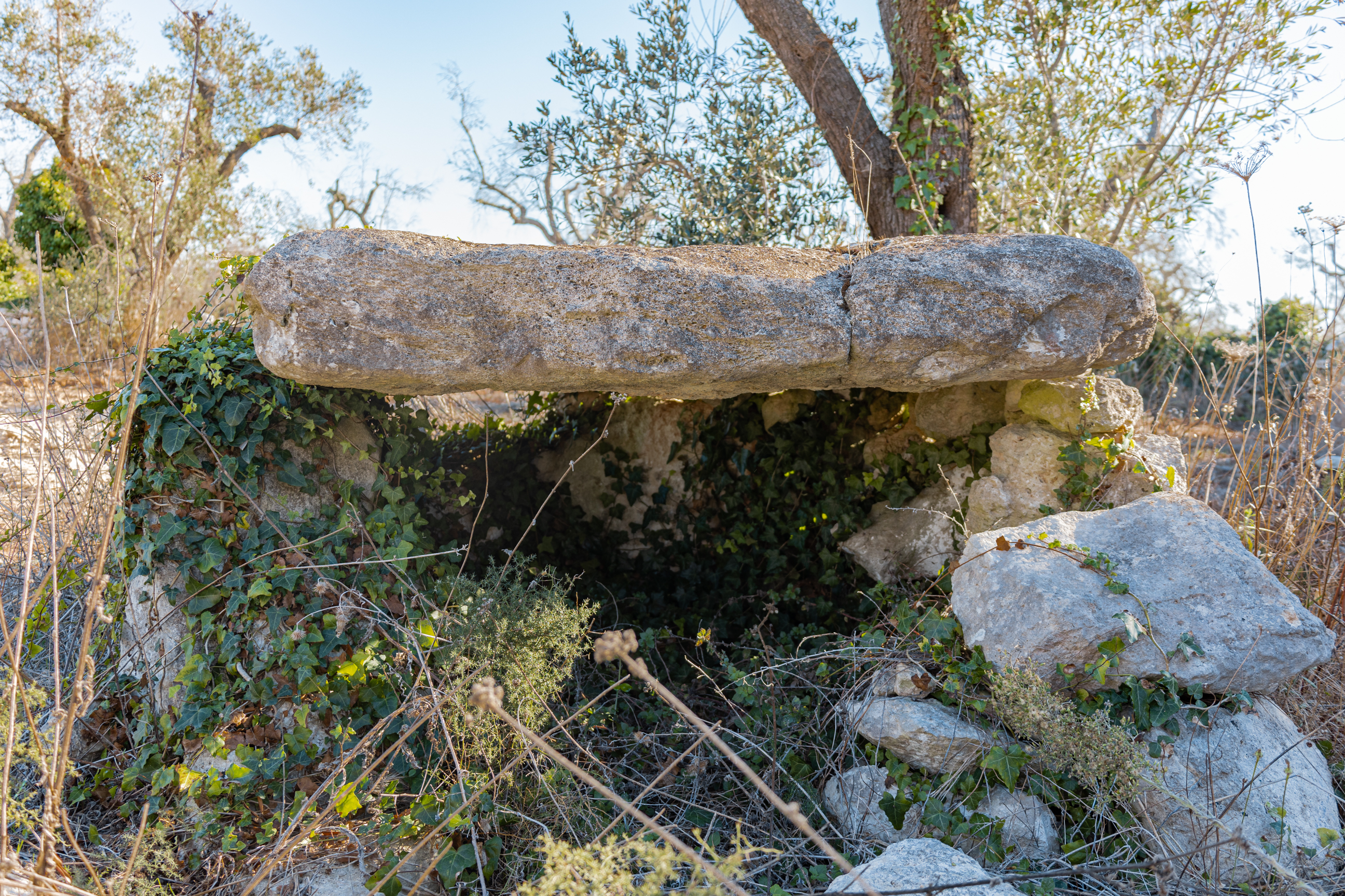 dolmen, Dolmen Grassi (PERIODIZZAZIONI/ PROTOSTORIA/ Età del Bronzo/ Età del Bronzo antico)