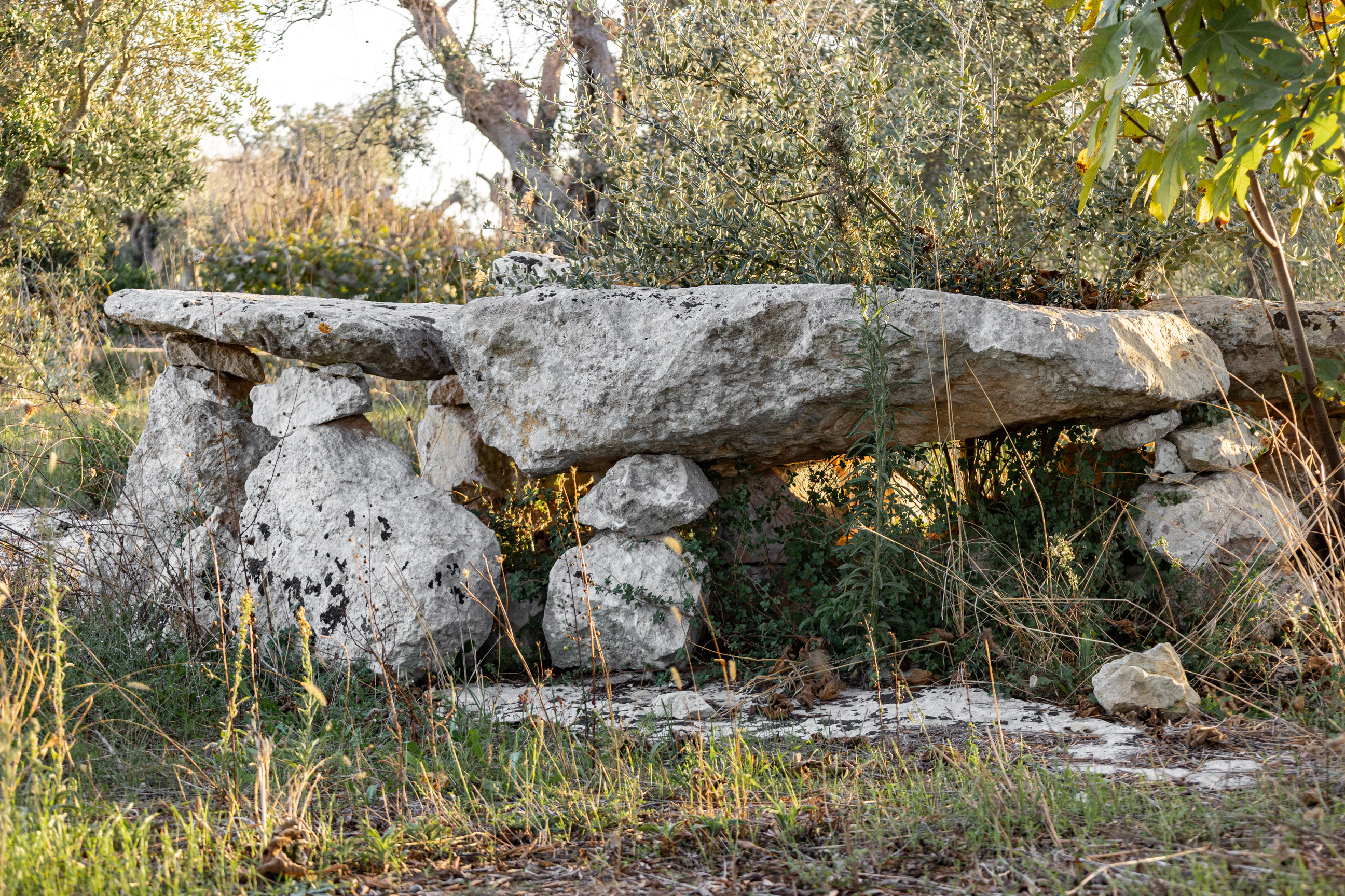 dolmen, Dolmen Caroppo 1 (PERIODIZZAZIONI/ PROTOSTORIA/ Età del Bronzo/ Età del Bronzo antico)