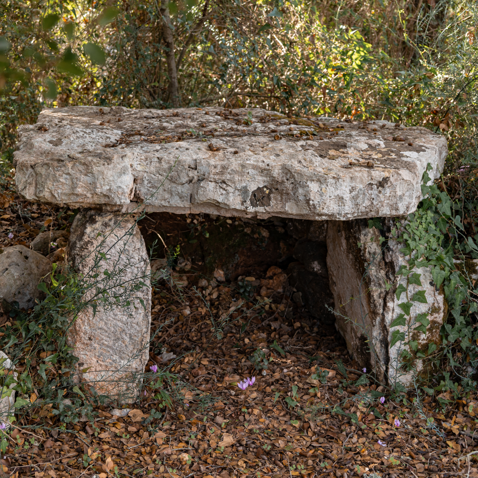 dolmen, Dolmen Piedi Grandi (PERIODIZZAZIONI/ PROTOSTORIA/ Età del Bronzo)