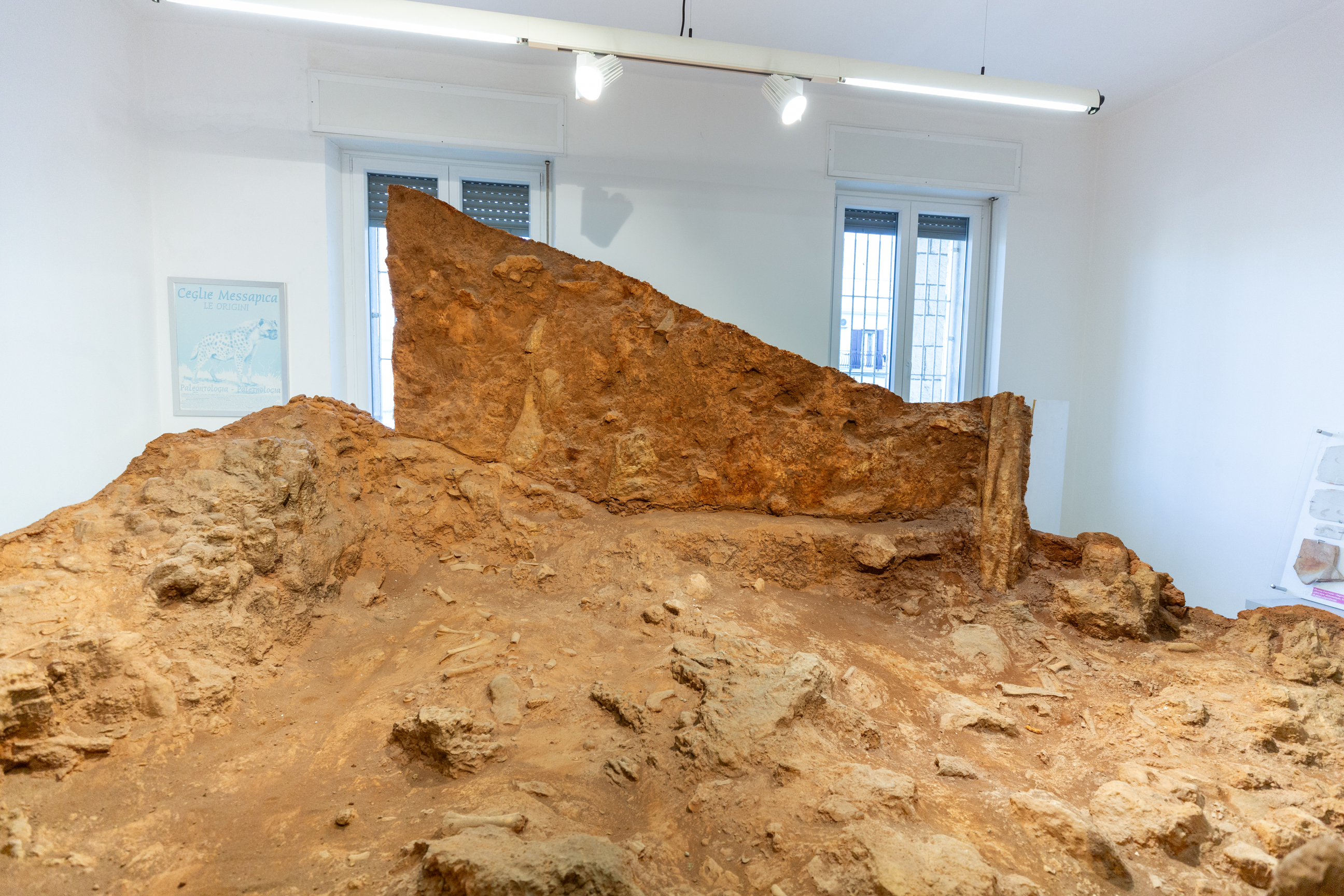 luogo con evidenze di frequentazione, paleosuolo, Paleosuperficie di Tana delle Iene (PERIODIZZAZIONI/ PREISTORIA/ Paleolitico)