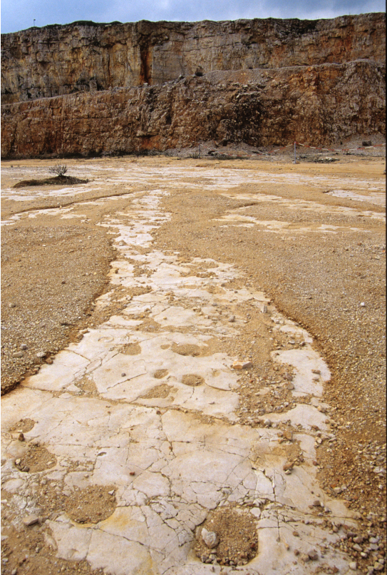 giacimento paleontologico, Impronte di dinosauri (PERIODIZZAZIONI/ ERE GEOLOGICHE/ Cretaceo superiore)