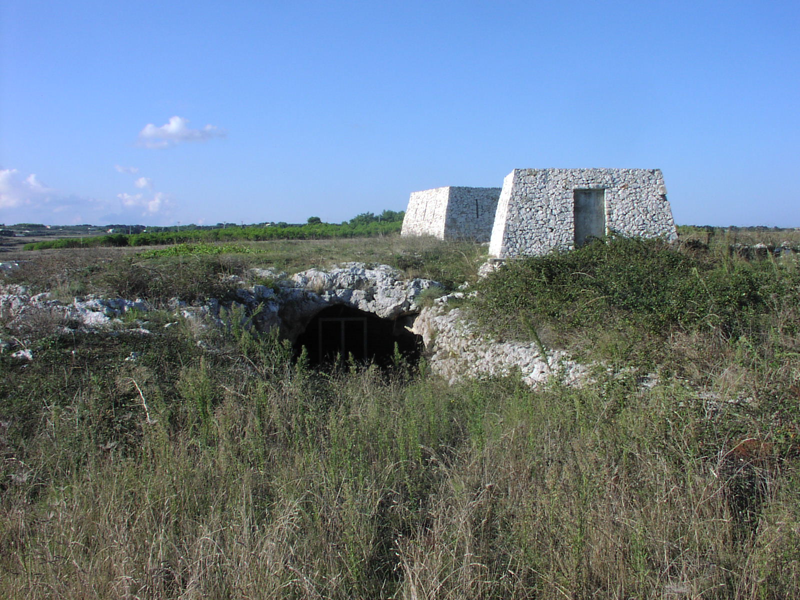 giacimento in cavità  naturale, frequentazione antropica, arte parietale, Grotta dei Cervi (PERIODIZZAZIONI/ ARCHI DI PERIODI/ Paleolitico-Età del Bronzo)