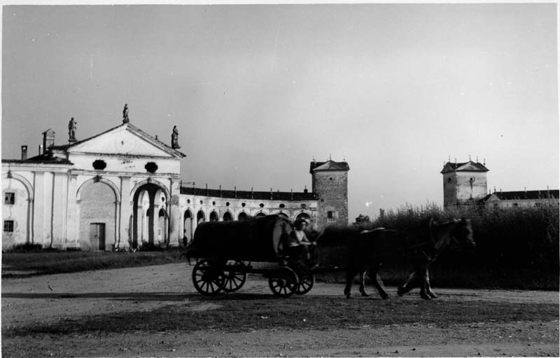 Documentazione storico artistica (positivo) di Anonimo (metà XXI)