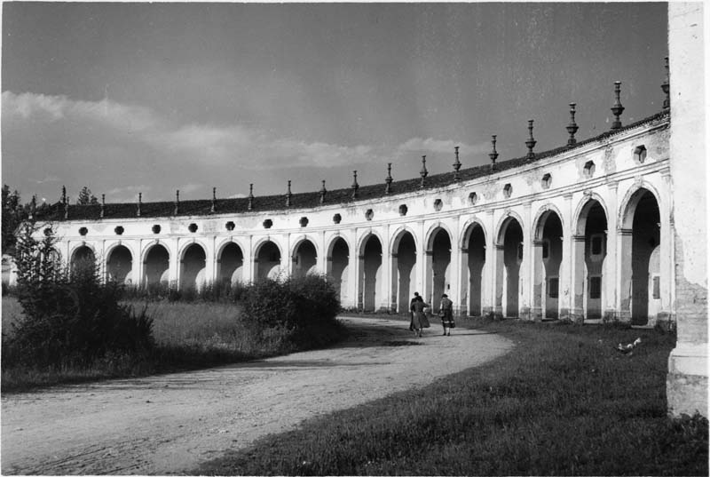 Documentazione storico artistica (positivo) di Anonimo (metà XXI)