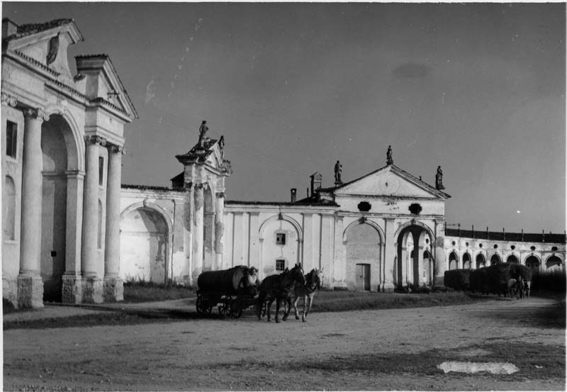 Documentazione storico artistica (positivo) di Anonimo (metà XXI)