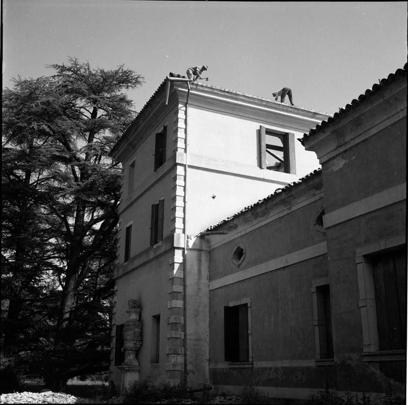 Eventi: durante i lavori di restauro degli anni Sessanta (negativo) di Venuto, Arturo (terzo quarto XXI)