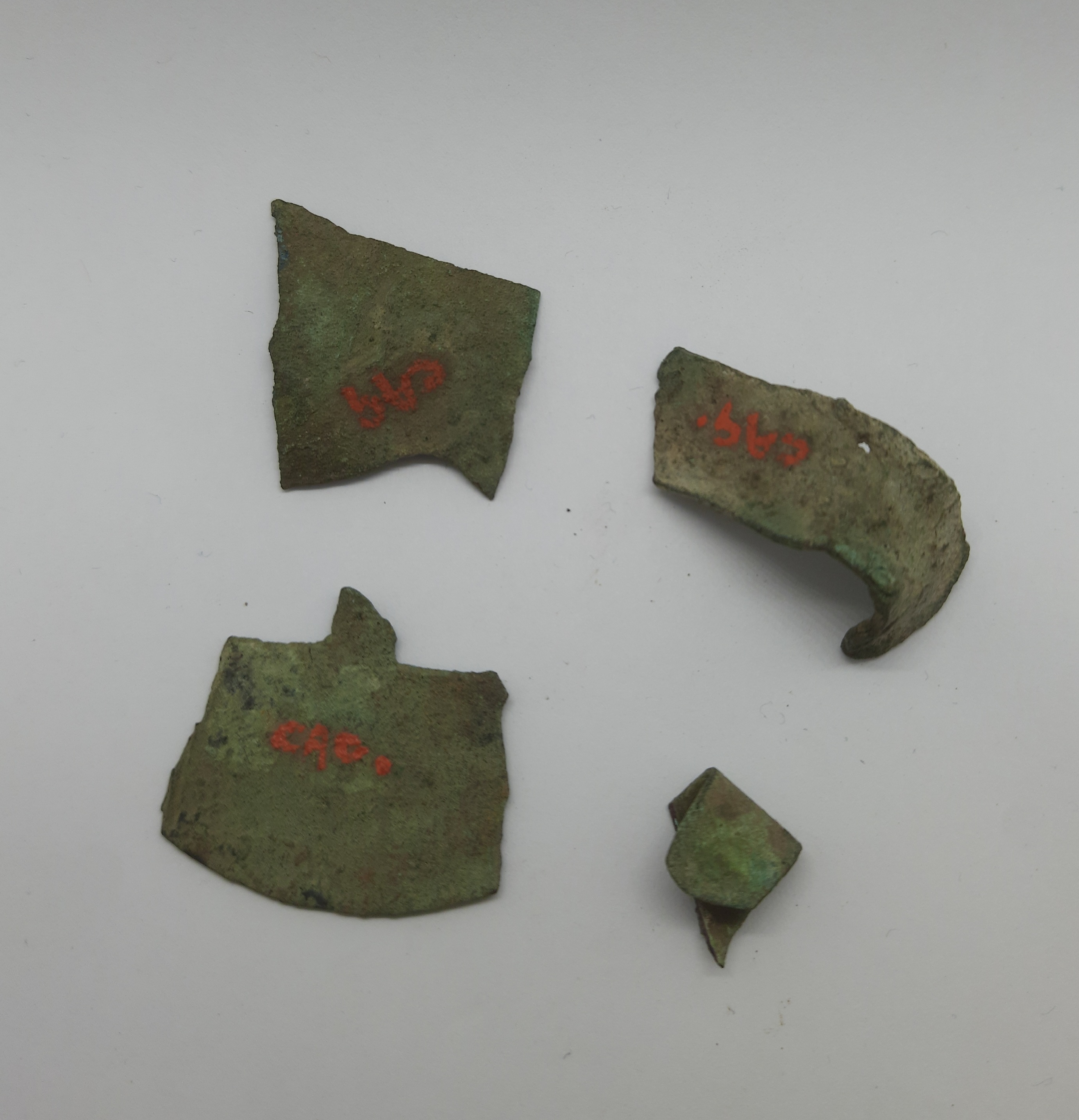 SINGOLO OGGETTO/ lamina, PERIODIZZAZIONI/ PROTOSTORIA/ Età del Ferro/ Media età del Ferro