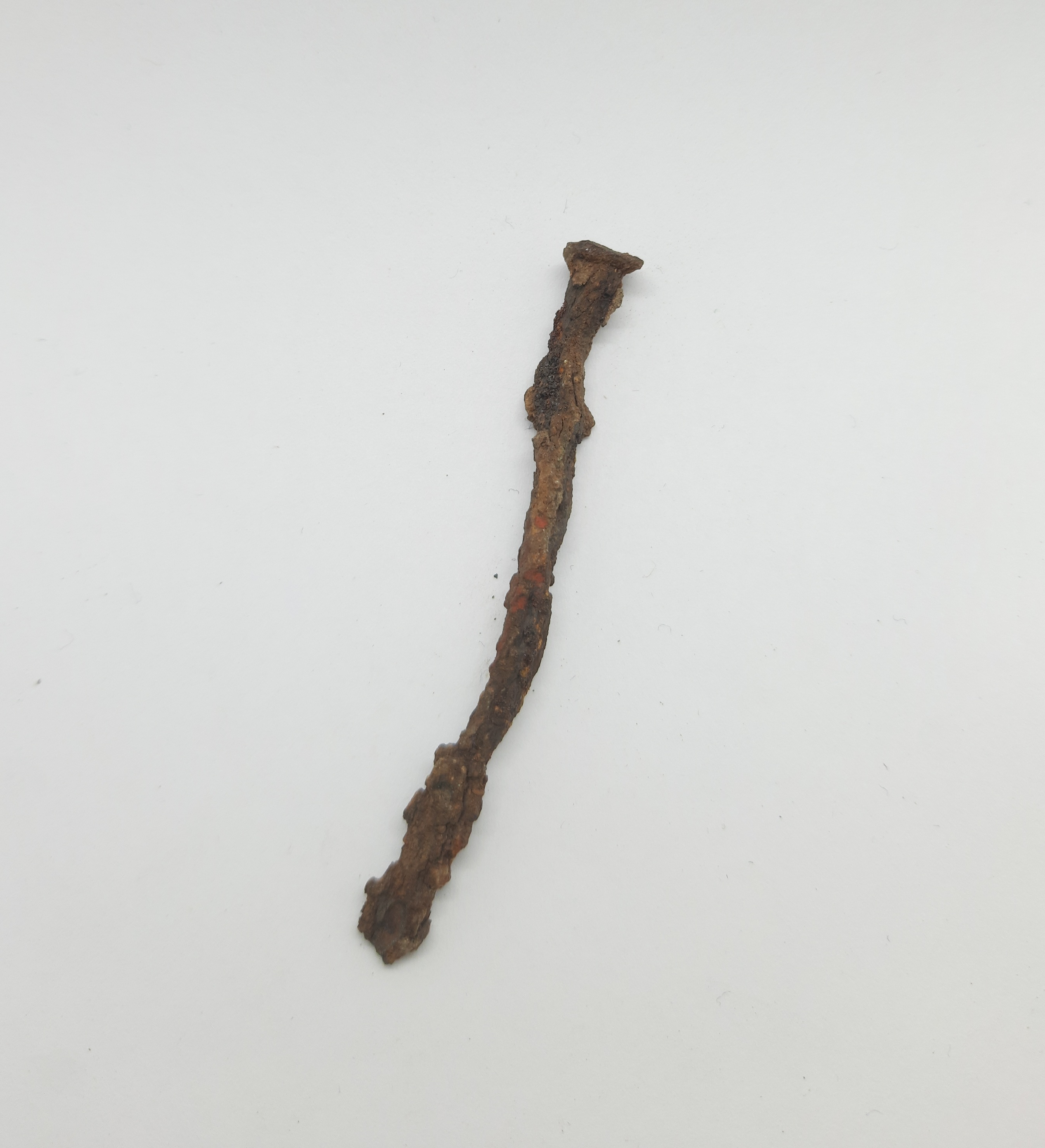 SINGOLO OGGETTO/ chiodo, PERIODIZZAZIONI/ PROTOSTORIA/ Età del Ferro/ Media età del Ferro