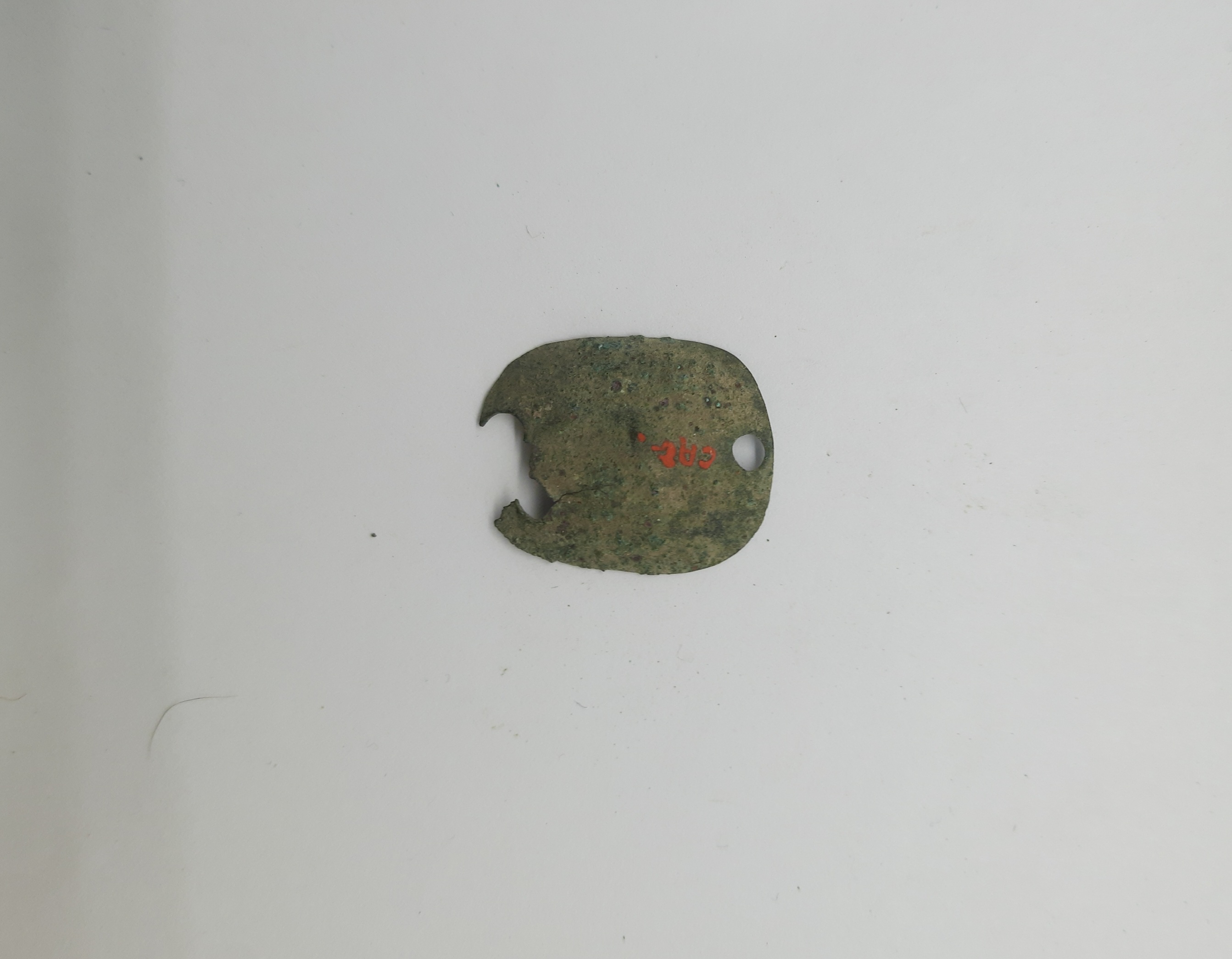 SINGOLO OGGETTO/ borchia, PERIODIZZAZIONI/ PROTOSTORIA/ Età del Ferro/ Media età del Ferro