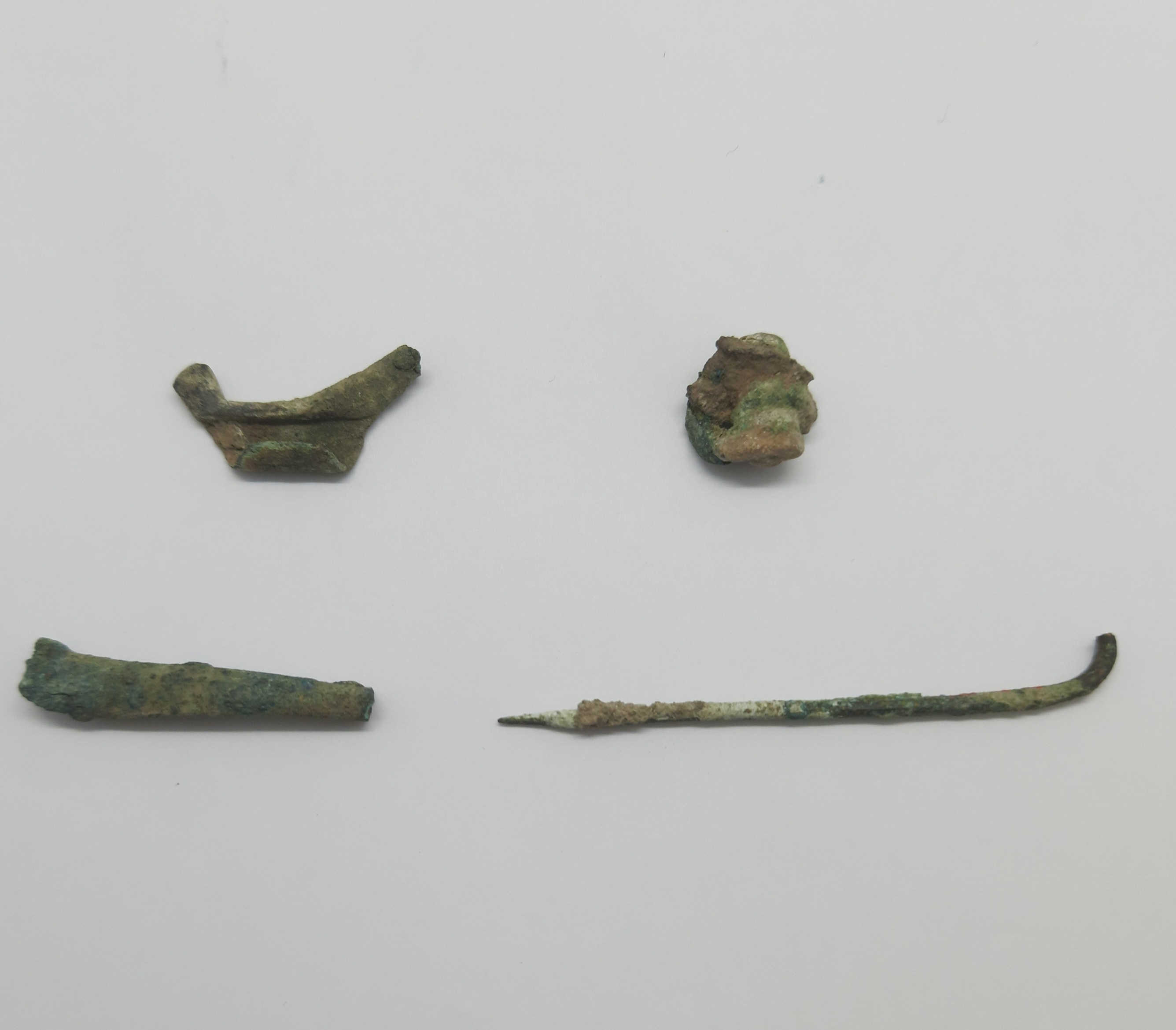 SINGOLO OGGETTO/ fibula, PERIODIZZAZIONI/ PROTOSTORIA/ Età del Ferro/ Media età del Ferro