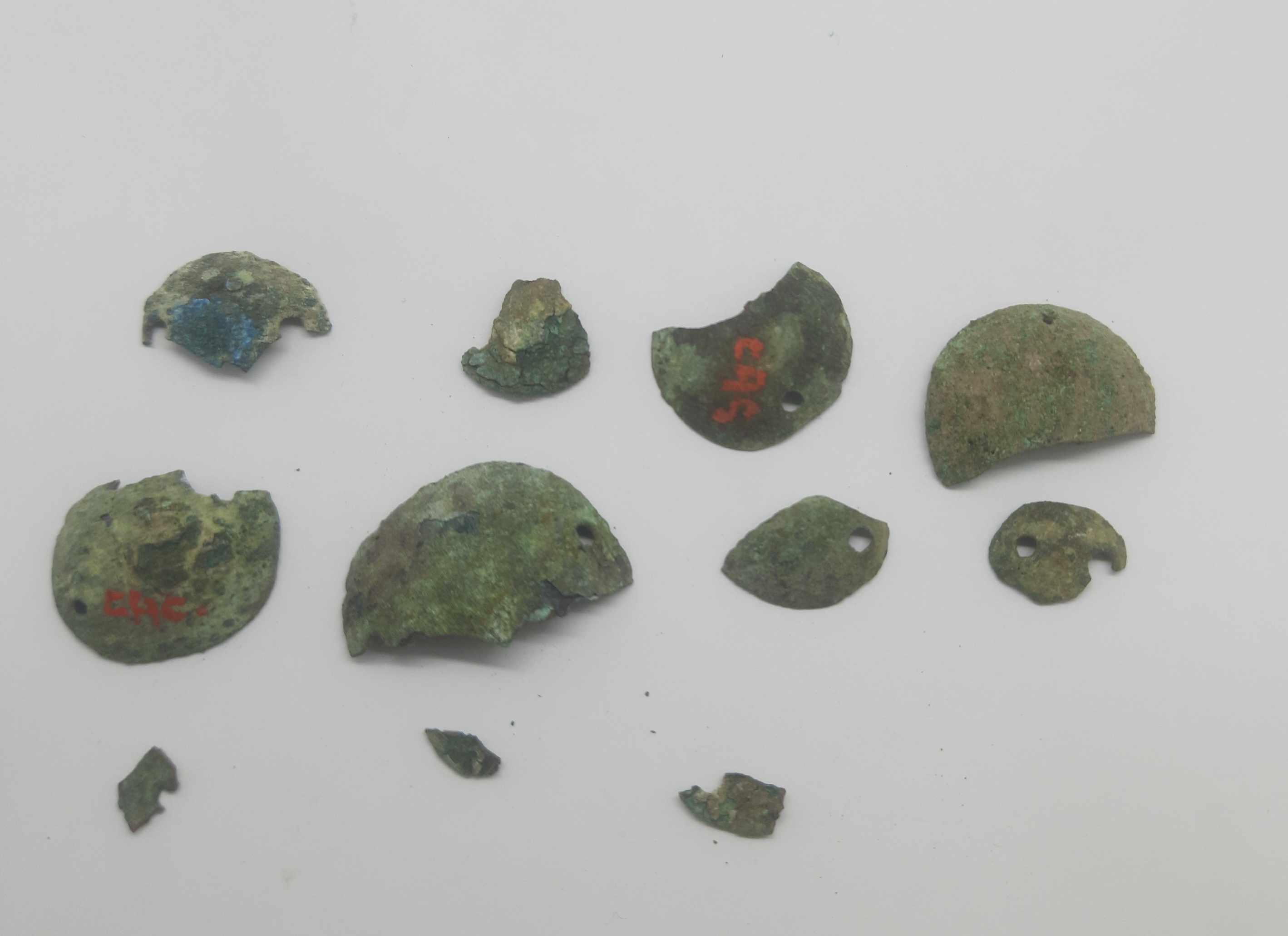 SINGOLO OGGETTO/ borchia, PERIODIZZAZIONI/ PROTOSTORIA/ Età del Ferro/ Media età del Ferro