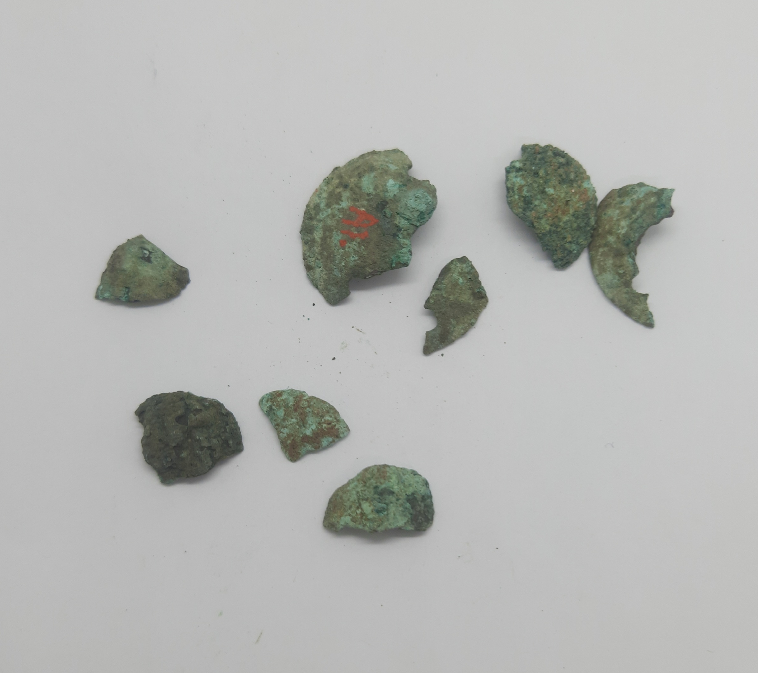 SINGOLO OGGETTO/ borchia, PERIODIZZAZIONI/ PROTOSTORIA/ Età del Ferro/ Media età del Ferro